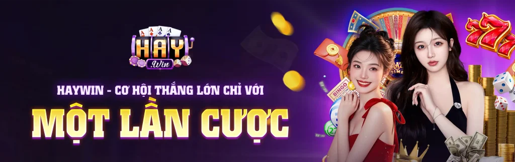 Banner haywin