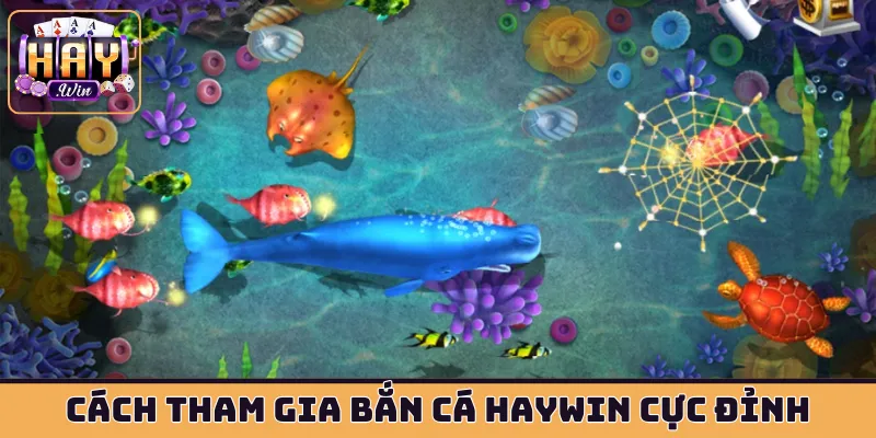 Cách tham gia bắn cá HAYWIN cực đỉnh